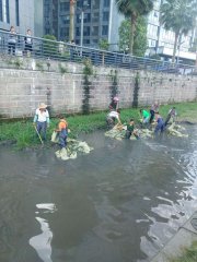 河道清淤